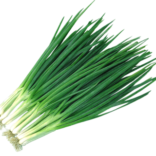 ALL_catalog_24G24_qoi9hx3gXX