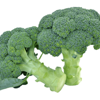 ALL_catalog_24G24_rCvSXkbW3c