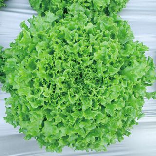 ALL_catalog_24G24_rvbCqiB59k