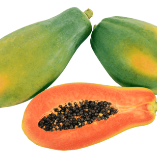 ALL_catalog_24G24_sDNKKQwYwC