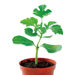 ALL_catalog_24G24_vNzrZ8cbZn