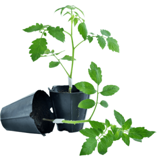 ALL_catalog_24G24_wj2YVHO4jf