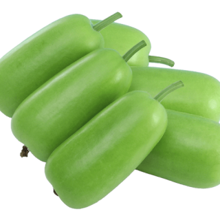 ALL_catalog_24G29_4izODgjJe1