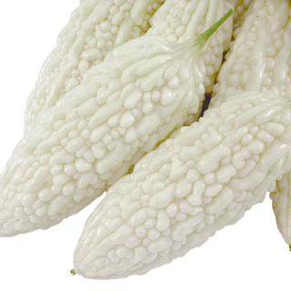 ALL_catalog_24G29_JGOc54UyUT