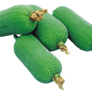 ALL_catalog_24G29_KZEJDypDrr