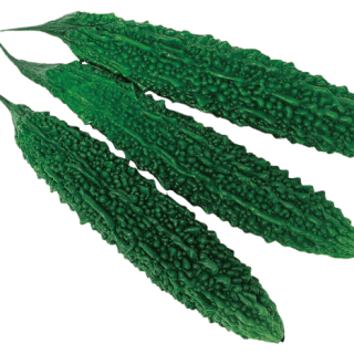 ALL_catalog_24G29_R0JuStY6YX