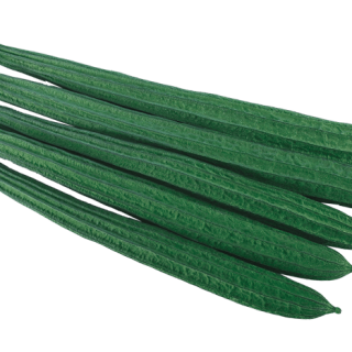 ALL_catalog_24G29_RfMBSBqDBq