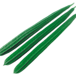 ALL_catalog_24G29_TUdJOsQ5I8