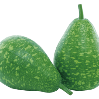 ALL_catalog_24G29_bvYLUVEd6H