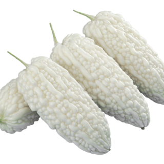 ALL_catalog_24G29_cWppeHaAIm