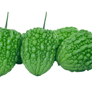 ALL_catalog_24G29_i3XA1ckyXU