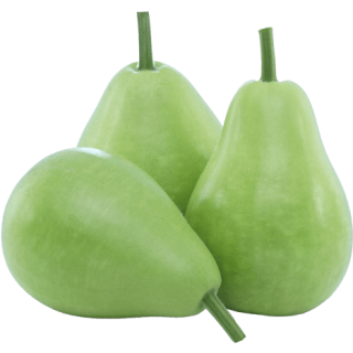 ALL_catalog_24G29_iXdnTI6dTn