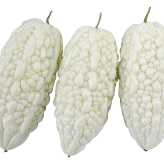 ALL_catalog_24G29_lqZmnapwDR