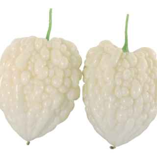 ALL_catalog_24G29_uJNvNR8lO3