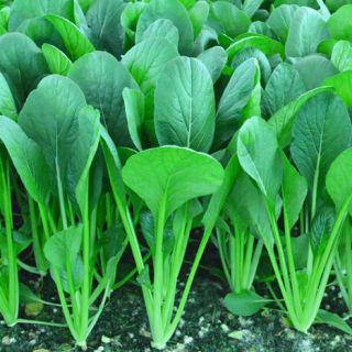 ALL_catalog_24G29_ymhxqAgoyK