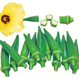 ALL_catalog_24H02_MDJxtvgkoo