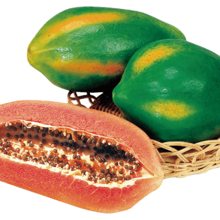 ALL_catalog_24I11_LQRaHWIXTc