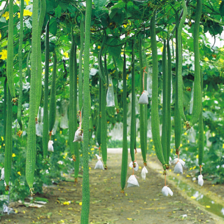 ALL_catalog_25D09_rC0IFQLEDc