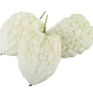 ALL_catalog_25D10_25F9TKDGSI