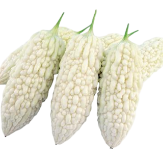 ALL_catalog_25D10_2DbUNVdSyz