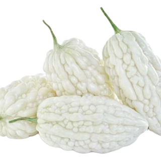 ALL_catalog_25D10_45QUZntb8O