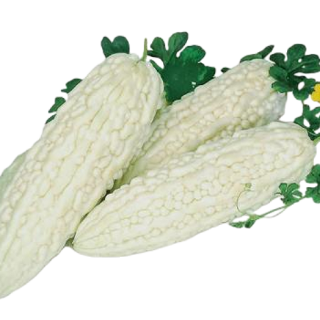 ALL_catalog_25D10_BPrpgd9o92