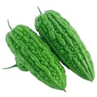 ALL_catalog_25D10_BrbGyTsfHB