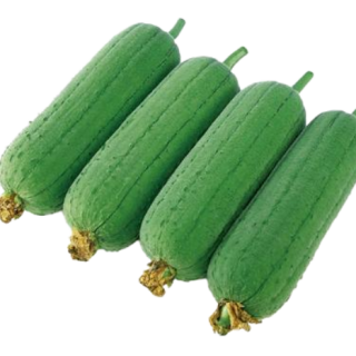 ALL_catalog_25D10_DoXgVPlgyz