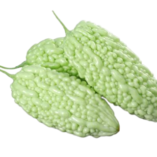 ALL_catalog_25D10_PeQptTqkw7