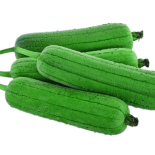 ALL_catalog_25D10_QnHae93e2a