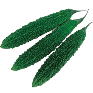 ALL_catalog_25D10_mGQAhCs1KA