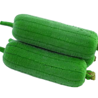 ALL_catalog_25D10_tRFXOE1I8i