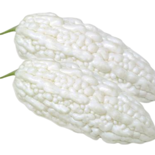 ALL_catalog_25D10_uOsh7dIq4s