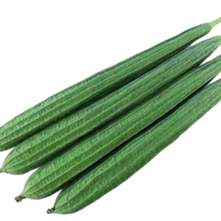 ALL_catalog_25D10_wbSnT7ea4A