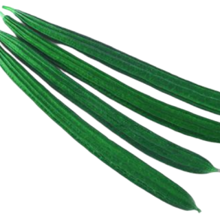 ALL_catalog_25D10_x33VLzvYFh