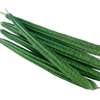 ALL_catalog_25D10_yPCjiPvOKn