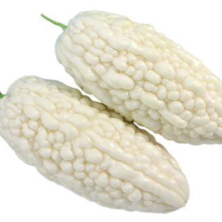 ALL_catalog_25D11_2nydTWMDAT