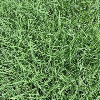 ALL_catalog_25F23_eRLuYNEZIy