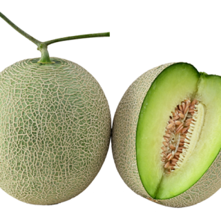 ALL_catalog_25H15_l5Q3oD5SjI