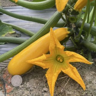 ALL_catalog_25K03_6dyVyG3kMr