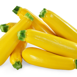 ALL_catalog_25K03_9qpnuwz7bp