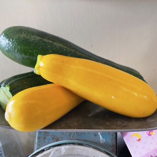 ALL_catalog_25K03_OG6E6Y9XQr