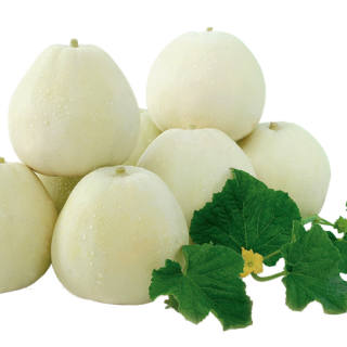 ALL_catalog_25L02_Dqrp53nUqN