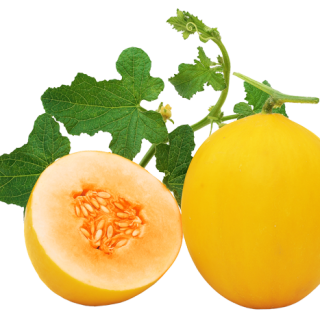 ALL_catalog_25L02_E4OosFEsSm