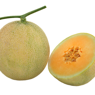 ALL_catalog_25L02_PJHtr9rtAp