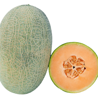 ALL_catalog_25L02_RDDYvdrape