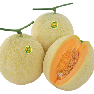 ALL_catalog_25L02_TINA4LrWnd