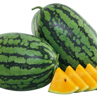 ALL_catalog_25L02_eEc1kOvqZa