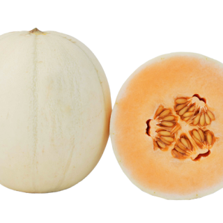 ALL_catalog_25L02_hy3CalLNWq