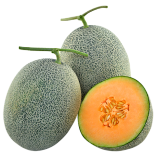 ALL_catalog_25L02_la7caU3oD5